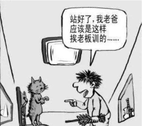 传递负面情绪的踢猫效应 最终的结果只会更加恶劣