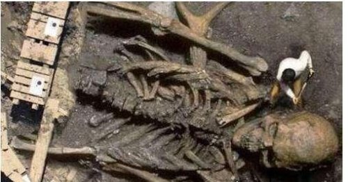 世界第一巨人竟高5米 一个头骨就比人大(谣言勿信)