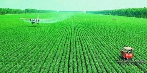 中国最大的平原 东北平原面积35万平方千米(面积相当于云南省)