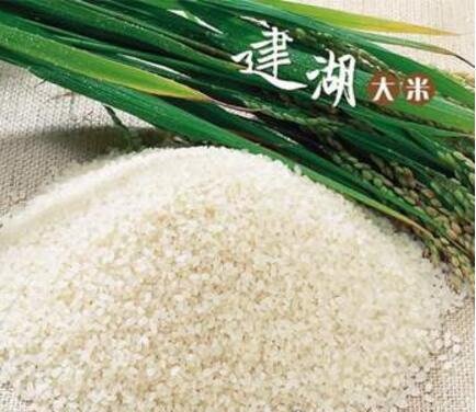 中国最贵大米排行榜 中国前10名大米排名(最贵8400元/斤)