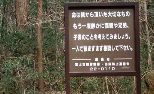 恐怖的日本自杀森林 青木原树海每年搜出百具尸骨
