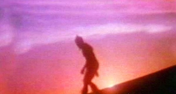 中国最可怕的原始森林 神农架(常传出有野人和史前动物出没)