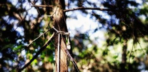 全球十大最恐怖的地方 墨西哥娃娃岛和法国巴黎地下墓穴