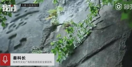 湖南19岁大学生景区坠亡 景区只愿赔3万(警方已介入调查)