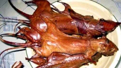 恶心海蜈蚣怎么吃做法 福建重口味美食(慎入)
