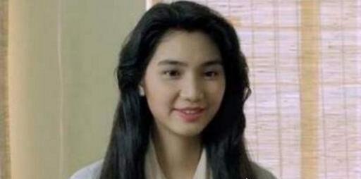 香港肉丸子事件是什么意思 洪欣肉丸子事件回顾(乃谣言)