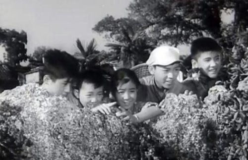 共产儿童团歌出自哪个电影 影片《红孩子》的主题曲(1958年上映)