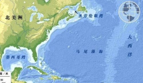 世界上最清澈的海 马尾藻海(透明度可以深达72米)