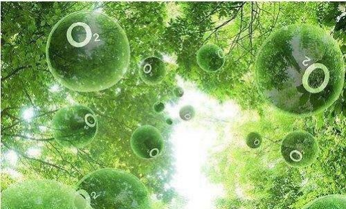 现存地球最古老的生物 最老的生物35亿岁了靠光合作用存活