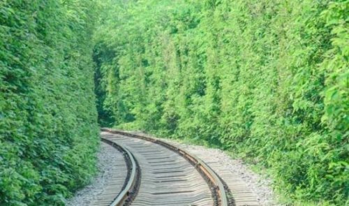 南京爱情隧道差点被毁 被民众呼吁后得以保留