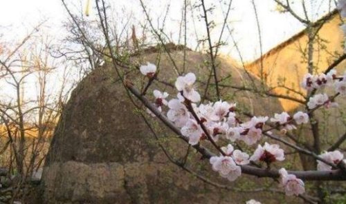 真实的和珅墓在哪?他斥巨资修建的和陵并没有机会住进去
