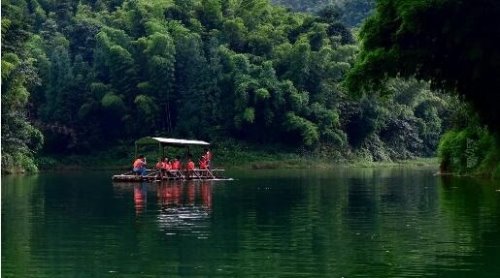 世界上面积最大的竹林 四川蜀南竹海面积高达120平方公里