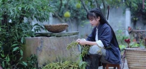 李子柒个人资料 火遍全网的治愈系美食博主(网友称现代版陶渊明)