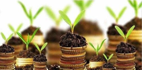 我的余额宝本金亏损了 余额宝是有风险的货币基金投资不保底