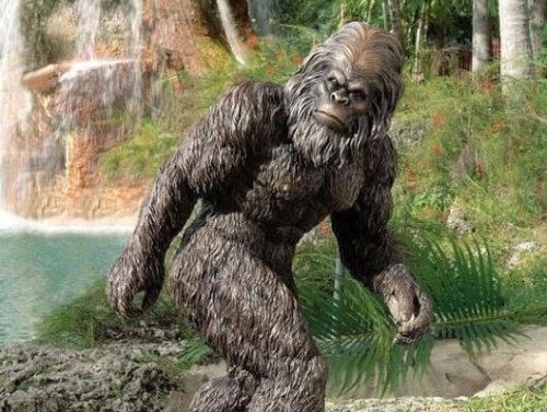 未知生物幽威存在吗 拥有超长手臂的澳洲野人