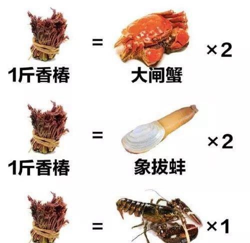 香椿自由取代车厘子自由 寓指财富充裕吃得起香椿