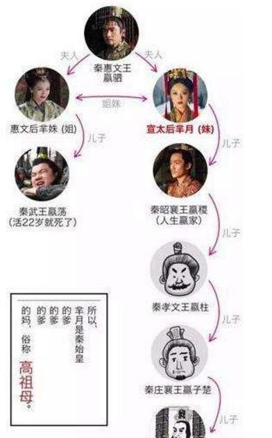 嬴政和芈月是什么关系?芈月是嬴政爷爷的奶奶(隔4代人)