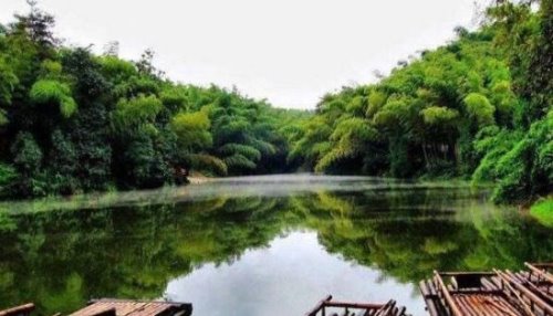 世界上面积最大的竹林 四川蜀南竹海面积高达120平方公里