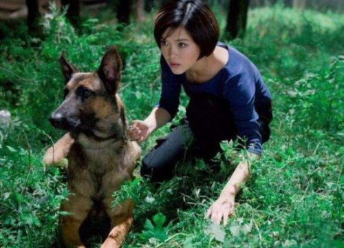神犬奇兵中的幽灵犬找到了 就是中国最优秀的军犬昆明狼犬