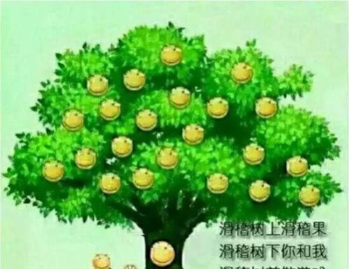 全球最早进入新一天的国家 基里巴斯一国分两天