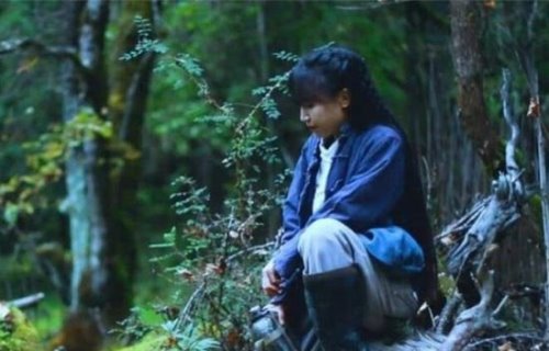 李子柒个人资料 火遍全网的治愈系美食博主(网友称现代版陶渊明)