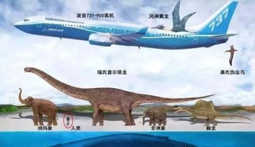 有比蓝鲸大一亿倍的生物吗 并不存在(地球都装不下它)