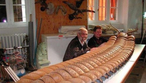 世界上最大的马陆虫 巨型马陆体长超3米(生活中4亿年前)