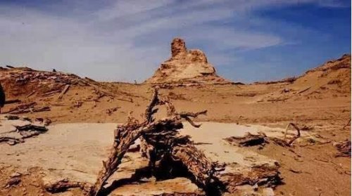 楼兰古国消失的原因揭秘 缺水后的瘟疫爆发导致弃城离去