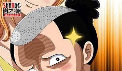 海贼王最稀有的果实 不死鸟果实拥有着马尔科战力超强