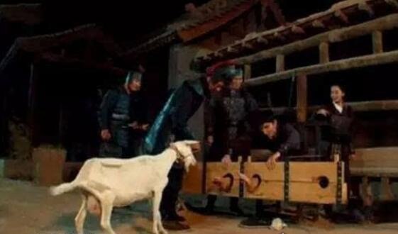 人真的会笑死 笑刑让你笑到窒息而亡(请勿挑战)