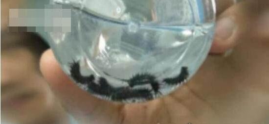 苗族下蛊的神奇之处 告诉你如何防范和辨认蛊毒