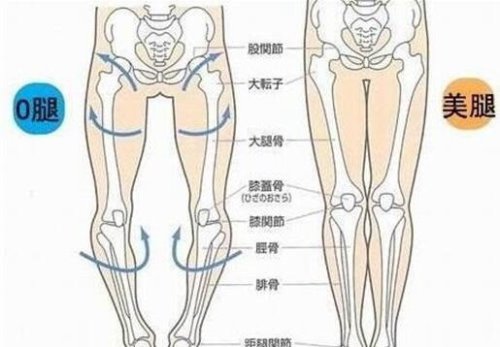 跷二郎腿的危害大盘点 严重可致下肢血栓(对生殖器也有不利影响)
