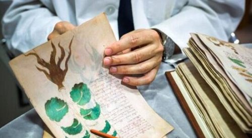 天书伏尼契手稿之谜 至今无人破译(被视作骗局)