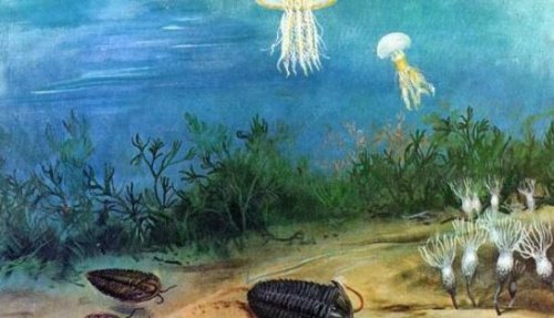 第五次生物大灭绝的根本原因 自然灾害带来的毁灭