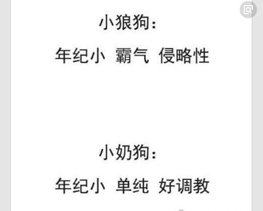 网络热词小奶狗什么意思 粘人的男友你喜欢吗