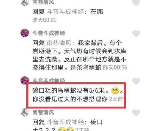 世界上最大的乌梢蛇 长5 6米有碗口粗的乌梢你见过吗