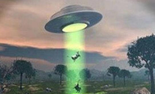 美国屠牛事件 很可能是外星人所为(为了提取地球生物DNA)