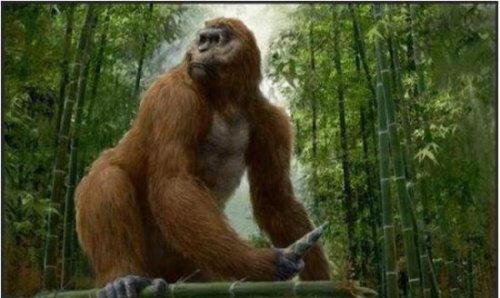 世界上最大的猿 巨猿高3米/重1200斤(活撕霸王龙)
