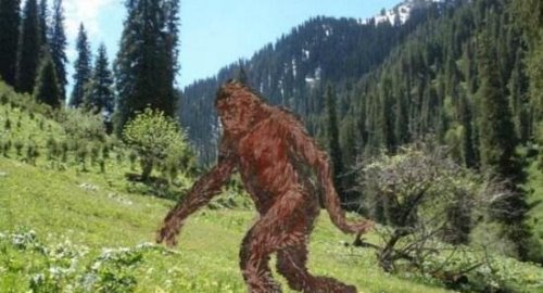 未知生物幽威存在吗 拥有超长手臂的澳洲野人