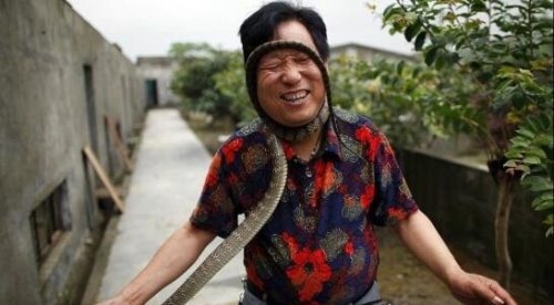 中国第一蛇村 多达300万条蛇(每天枕着上万条睡觉)