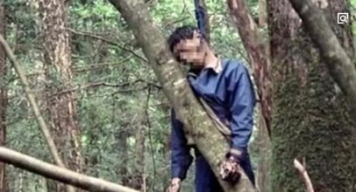 世界上最惊悚的十个地点 玩偶之岛树上全是娃娃头(吓尿了)