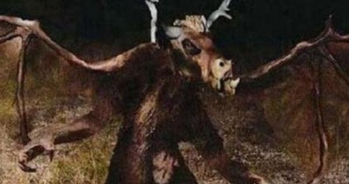 神秘生物之泽西恶魔 传说是蝙蝠和马的杂交品种(超怪异)