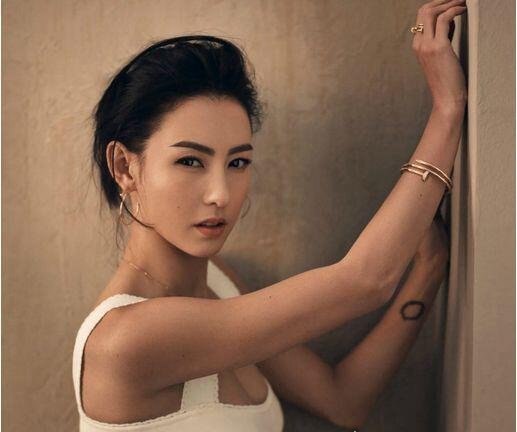 张柏芝承认三胎得子 多次辟谣孩子生父成谜(遭何孟怀碰瓷)