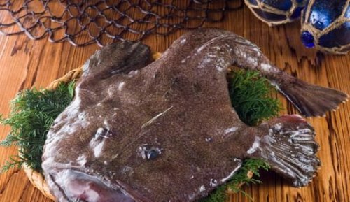 超丑的深海安康鱼 自带发光器独特的捕食技术