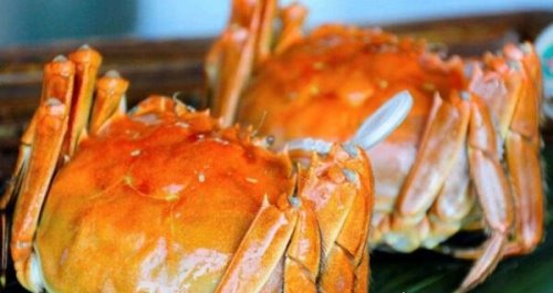 世界上最大的大闸蟹 公蟹6两母蟹4两(肉厚肥美)