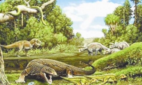 第五次生物大灭绝的根本原因 自然灾害带来的毁灭