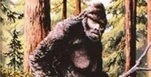 未知生物幽威存在吗 拥有超长手臂的澳洲野人