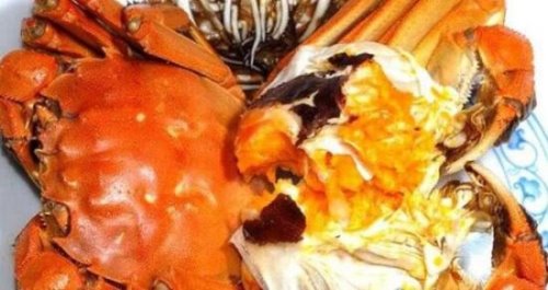 世界上最大的大闸蟹 公蟹6两母蟹4两(肉厚肥美)