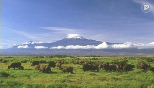 世界上最大的高原 巴西高原面积超过半个中国(500多万平方千米)
