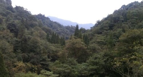 四川乐山黑竹沟 恐怖的死亡之谷(进去之后少有人能出来)